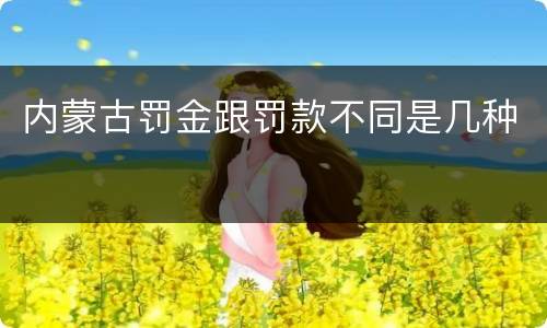 内蒙古罚金跟罚款不同是几种