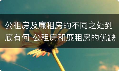 公租房及廉租房的不同之处到底有何 公租房和廉租房的优缺点
