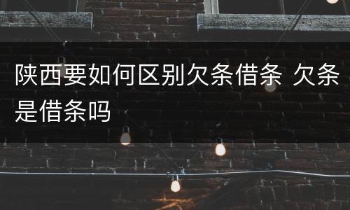 陕西要如何区别欠条借条 欠条是借条吗