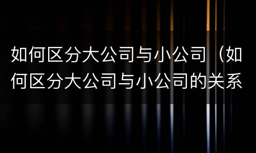如何区分大公司与小公司（如何区分大公司与小公司的关系）