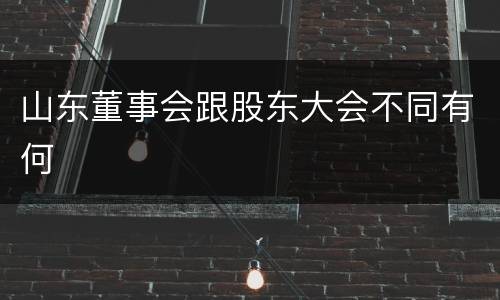 山东董事会跟股东大会不同有何