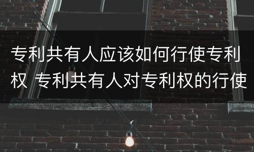 专利共有人应该如何行使专利权 专利共有人对专利权的行使