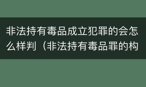 非法持有毒品成立犯罪的会怎么样判（非法持有毒品罪的构成要件）