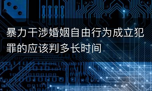 暴力干涉婚姻自由行为成立犯罪的应该判多长时间