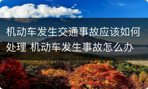 机动车发生交通事故应该如何处理 机动车发生事故怎么办