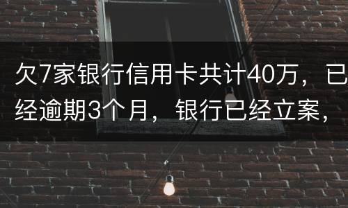 欠7家银行信用卡共计40万，已经逾期3个月，银行已经立案，请问我被判刑几年