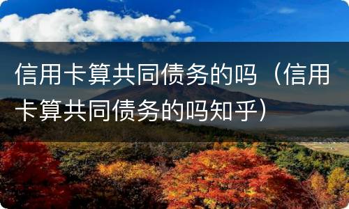 信用卡算共同债务的吗（信用卡算共同债务的吗知乎）