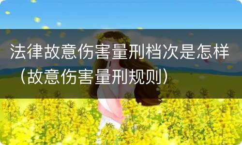 法律故意伤害量刑档次是怎样（故意伤害量刑规则）