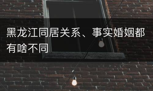 黑龙江同居关系、事实婚姻都有啥不同