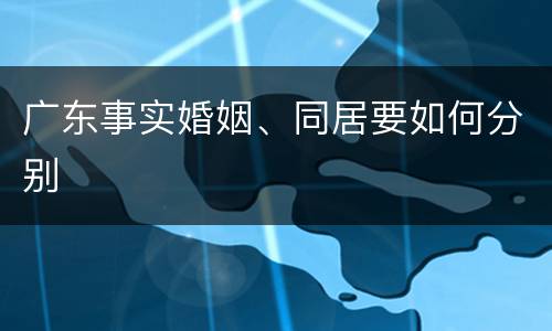 广东事实婚姻、同居要如何分别