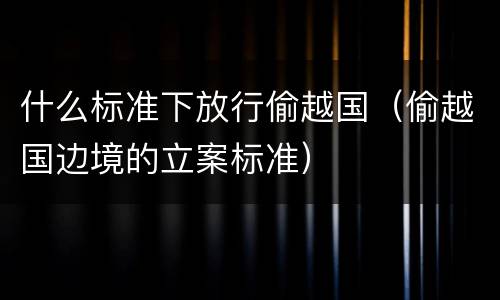 什么标准下放行偷越国（偷越国边境的立案标准）