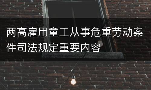 两高雇用童工从事危重劳动案件司法规定重要内容