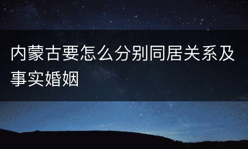 内蒙古要怎么分别同居关系及事实婚姻