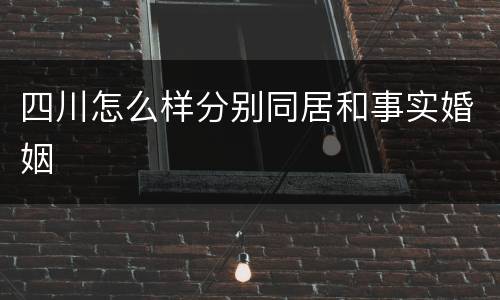 四川怎么样分别同居和事实婚姻