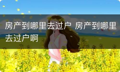 房产到哪里去过户 房产到哪里去过户啊