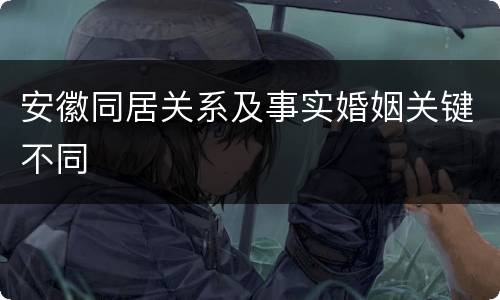 安徽同居关系及事实婚姻关键不同