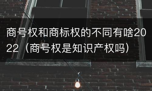商号权和商标权的不同有啥2022（商号权是知识产权吗）
