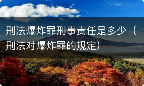 刑法爆炸罪刑事责任是多少（刑法对爆炸罪的规定）