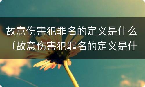 故意伤害犯罪名的定义是什么（故意伤害犯罪名的定义是什么呢）