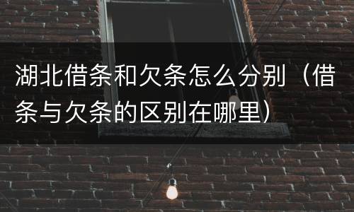 湖北借条和欠条怎么分别（借条与欠条的区别在哪里）