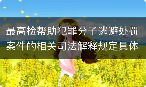 最高检帮助犯罪分子逃避处罚案件的相关司法解释规定具体是什么内容