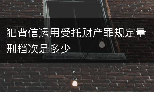 犯背信运用受托财产罪规定量刑档次是多少
