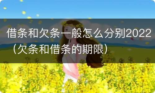 借条和欠条一般怎么分别2022（欠条和借条的期限）