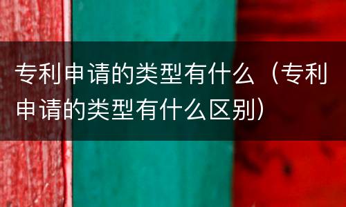 专利申请的类型有什么（专利申请的类型有什么区别）