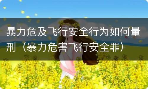 暴力危及飞行安全行为如何量刑（暴力危害飞行安全罪）