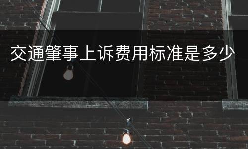 交通肇事上诉费用标准是多少