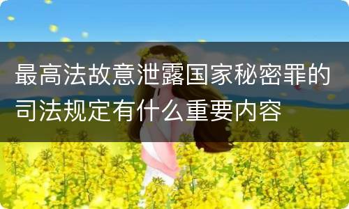 最高法故意泄露国家秘密罪的司法规定有什么重要内容