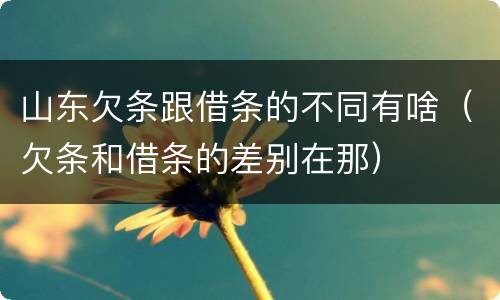 山东欠条跟借条的不同有啥（欠条和借条的差别在那）