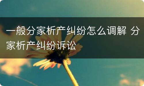 一般分家析产纠纷怎么调解 分家析产纠纷诉讼
