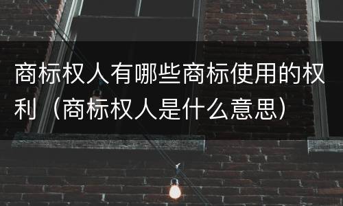 商标权人有哪些商标使用的权利（商标权人是什么意思）