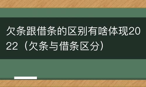 欠条跟借条的区别有啥体现2022（欠条与借条区分）