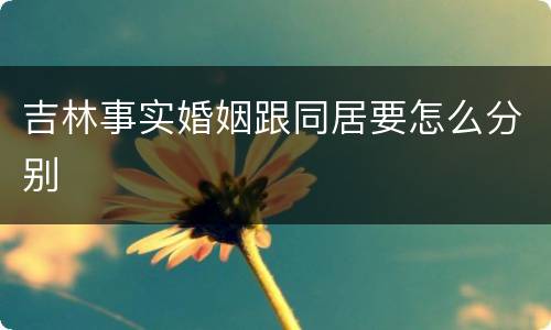 吉林事实婚姻跟同居要怎么分别