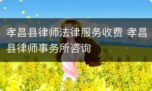 孝昌县律师法律服务收费 孝昌县律师事务所咨询
