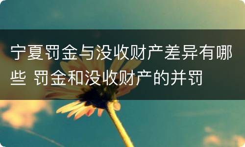 宁夏罚金与没收财产差异有哪些 罚金和没收财产的并罚