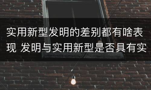 实用新型发明的差别都有啥表现 发明与实用新型是否具有实用性