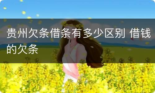 贵州欠条借条有多少区别 借钱的欠条