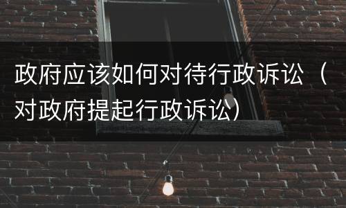 政府应该如何对待行政诉讼（对政府提起行政诉讼）