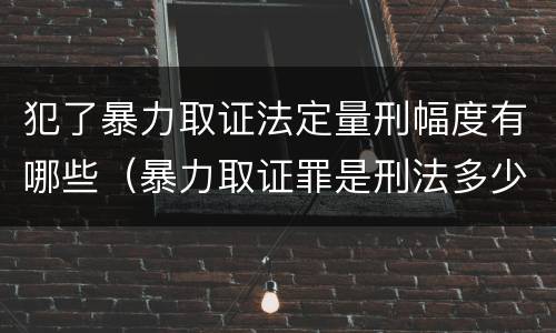 犯了暴力取证法定量刑幅度有哪些（暴力取证罪是刑法多少条）
