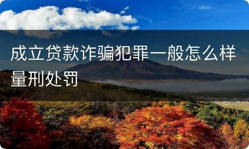 成立贷款诈骗犯罪一般怎么样量刑处罚