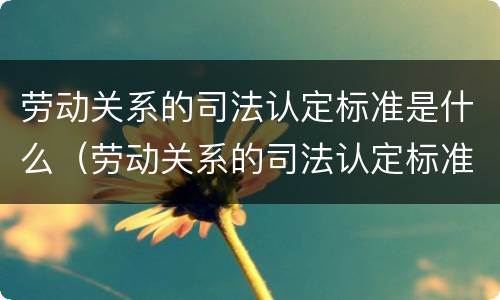 劳动关系的司法认定标准是什么（劳动关系的司法认定标准是什么意思）