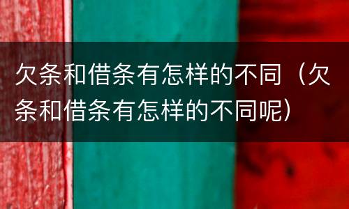 欠条和借条有怎样的不同（欠条和借条有怎样的不同呢）