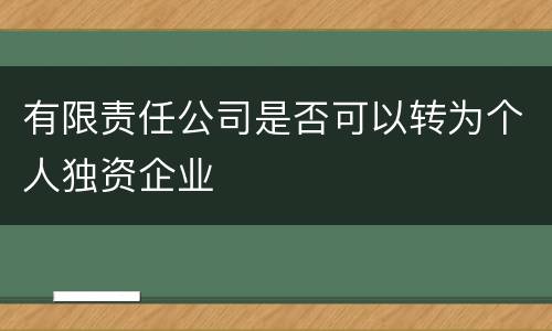 有限责任公司是否可以转为个人独资企业