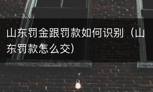 山东罚金跟罚款如何识别（山东罚款怎么交）