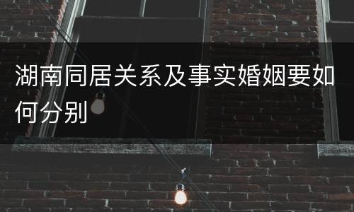 湖南同居关系及事实婚姻要如何分别
