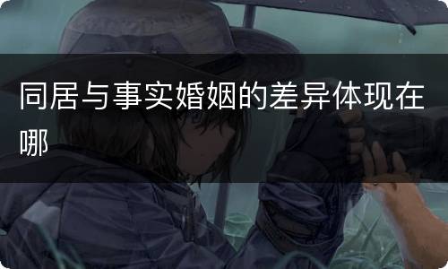 同居与事实婚姻的差异体现在哪