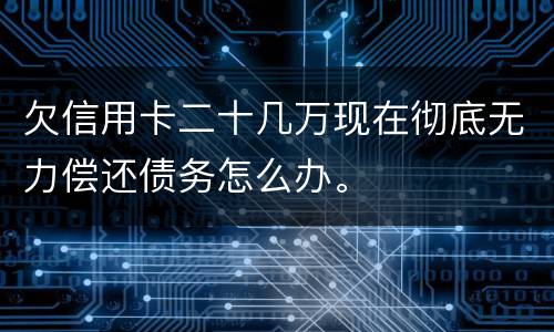 欠信用卡二十几万现在彻底无力偿还债务怎么办。